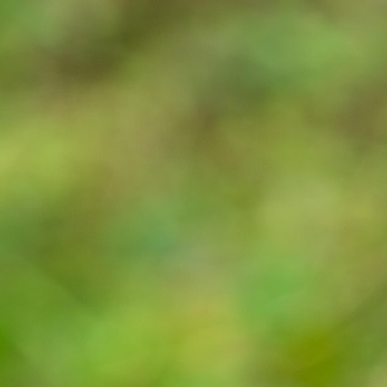 supply chain analyst portrait